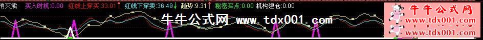 2010664281035601.jpg